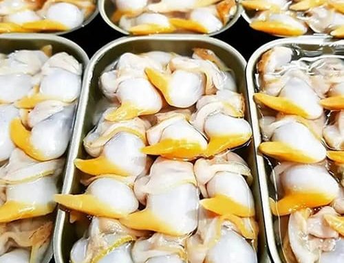 Mejores conservas gallegas gourmet: qué elegir