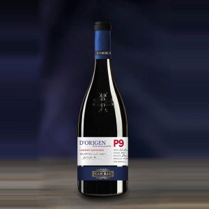 Can Bas D'Origen P9 2018 Bio červené víno