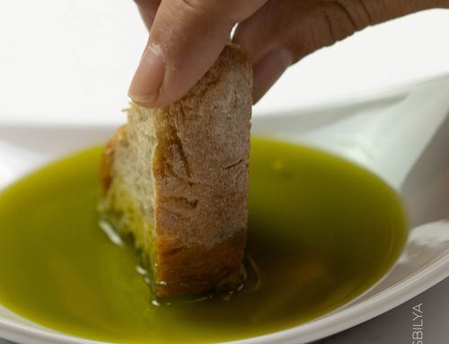 Cómo elegir el mejor aceite de oliva virgen extra