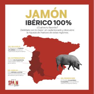 100% Iberico ham van eikel-varkens Enrique Tomás