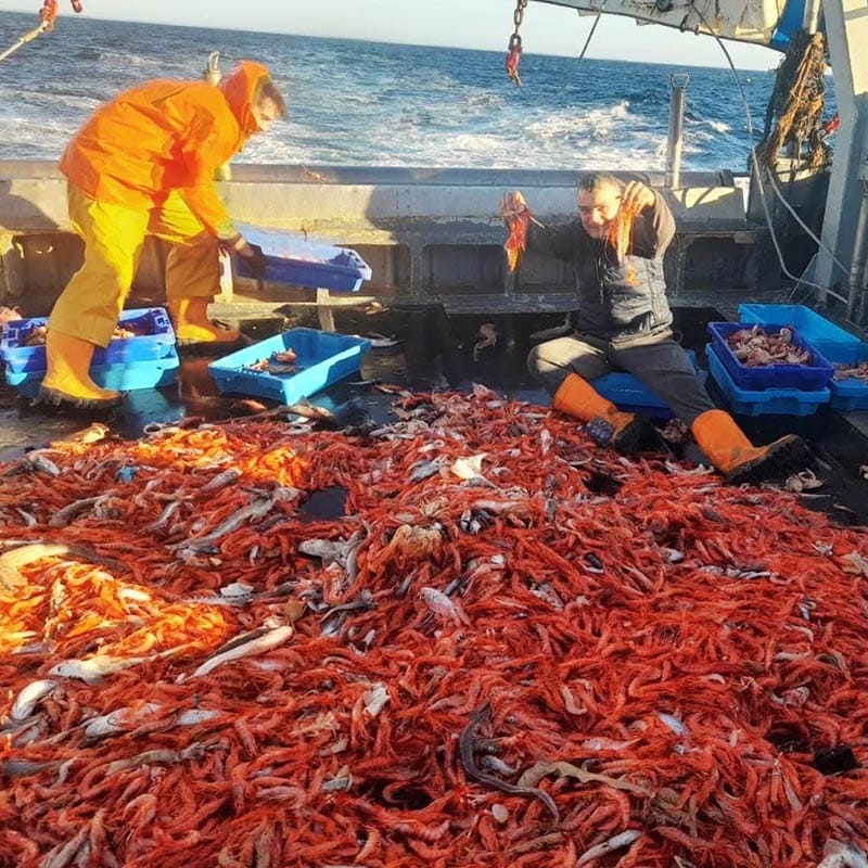 Punta Aljibe: cuando los caldos son lo más importante