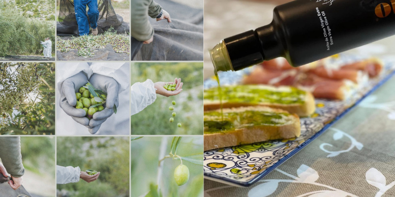 ¿Por qué el aceite de oliva virgen extra español es tan saludable?