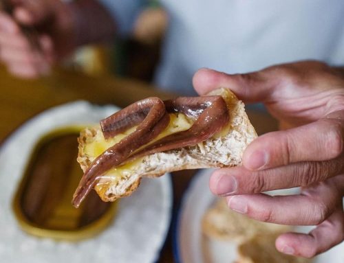 Anchoas del Cantábrico: donde el mar se convierte en arte