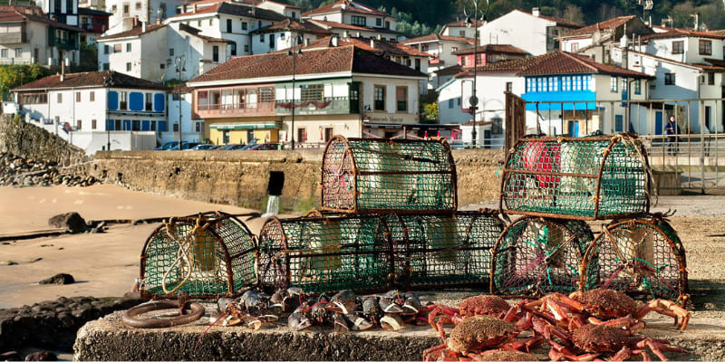 Ostras en conserva: el lujo silencioso que cabe en una Lata