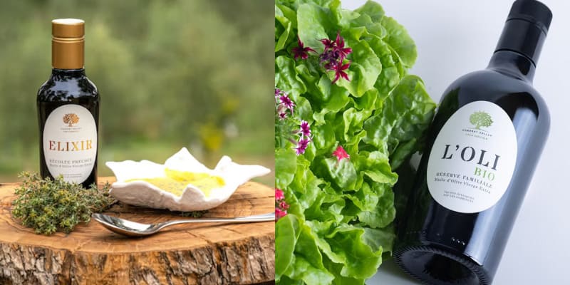 El secreto mejor guardado para los amantes del buen aceite: el aceite de oliva virgen extra arbequina El secreto mejor guardado para los amantes del buen aceite: el aceite de oliva virgen extra arbequina