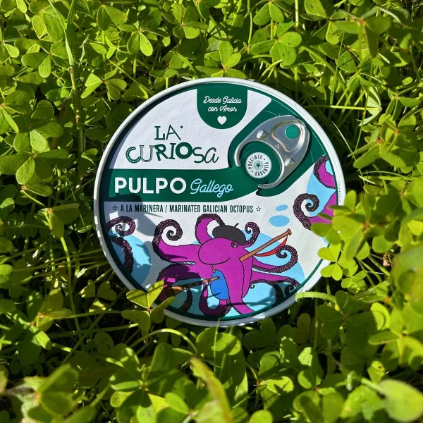 Pulpo gallego a la Marinera, La Curiosa - Imagen 2