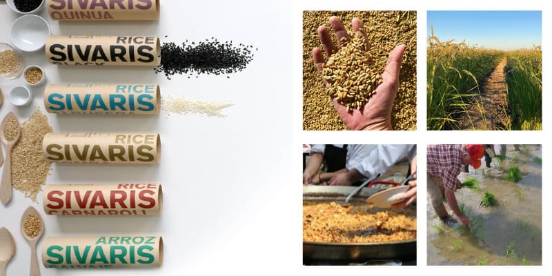 El arroz Sivaris: Un lujo en cada grano