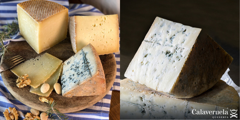 El viaje más delicioso no pasa por un aeropuerto, pasa por una tabla de quesos Made in Spain Quesos Made in Spain Gourmet