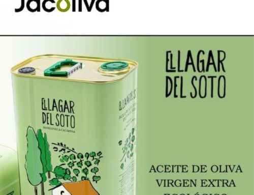 Lagar del Soto AOVE Ecológico de Manzanilla Cacereña: El Aceite de Oliva Virgen Extra Favorito en Europa