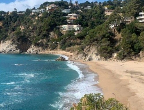 ¿Por qué somos tan “tontos” los españoles, franceses e italianos?