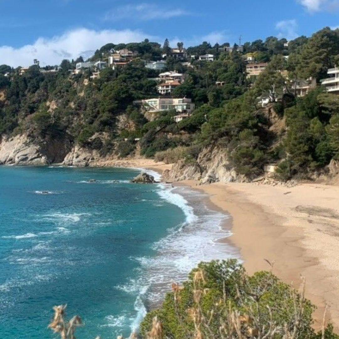 ¿Por qué somos tan “tontos” los españoles, franceses e italianos? ¿Por qué somos tan “tontos” los españoles, franceses e italianos?