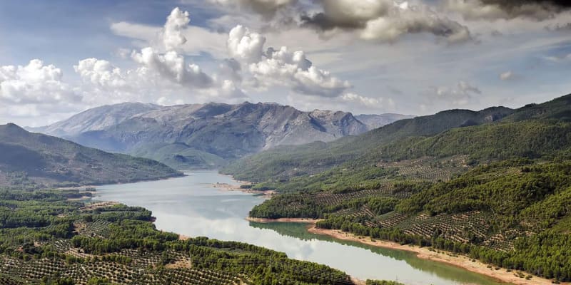 Made in Jaén: la cuna mundial del Aceite de Oliva Virgen Extra Made in Jaén: la cuna mundial del Aceite de Oliva Virgen Extra