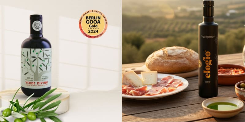 Made in Jaén: la cuna mundial del Aceite de Oliva Virgen Extra Made in Jaén: la cuna mundial del Aceite de Oliva Virgen Extra