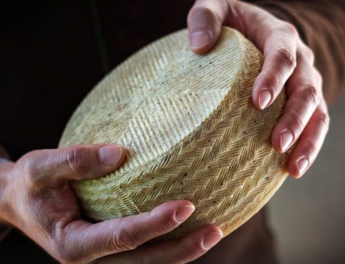 Made in Cordoba: Quesos Calaveruela. Quesos de oveja y mantequilla artesanal de nivel mundial