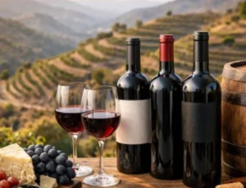 Cómo elegir vino Priorat premium de verdad