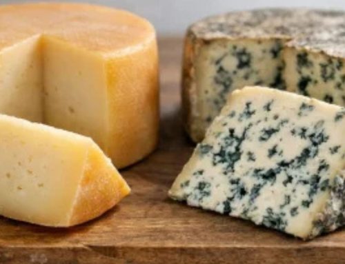 Queso Idiazabal vs Cabrales: cuál elegir