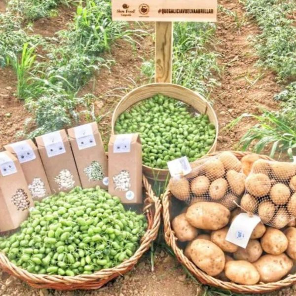 Legumbres gourmet españolas: cuáles elegir