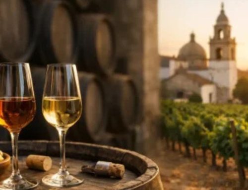 Qué es un vino de Jerez y por qué es único
