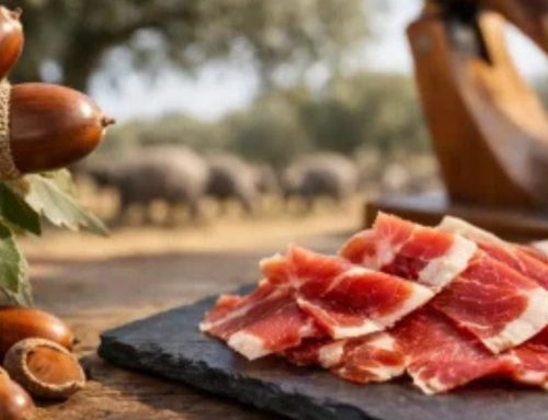 Qué significa bellota en jamón