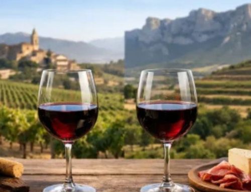 Vino Rioja vs Ribera: cuál elegir
