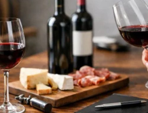 Review de vino Ribera premium: qué mirar